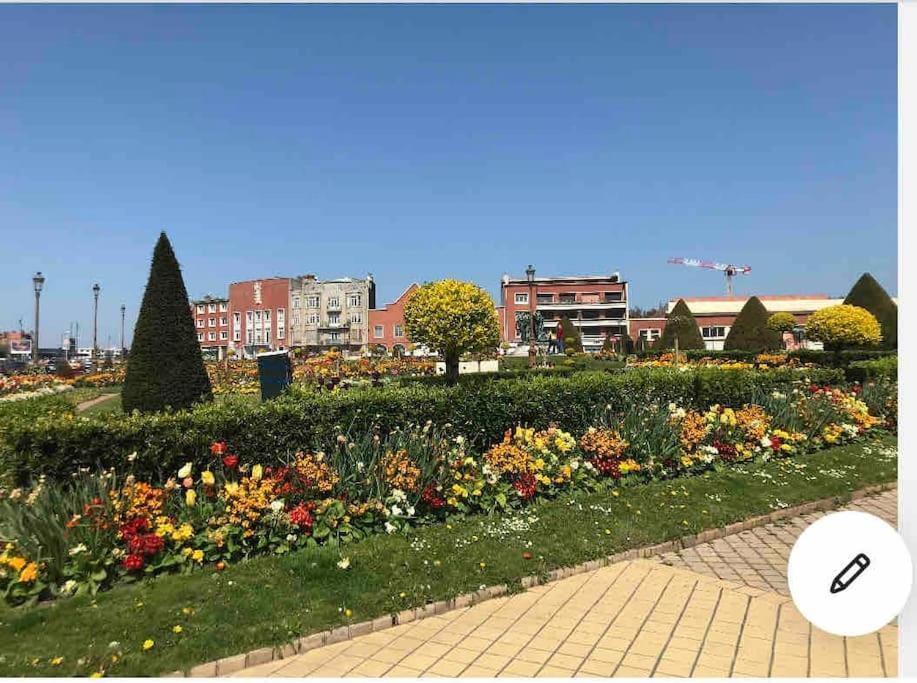 شقة Casa Inca Calais - Duplex Soleil Latino - Parking Free, Station المظهر الخارجي الصورة